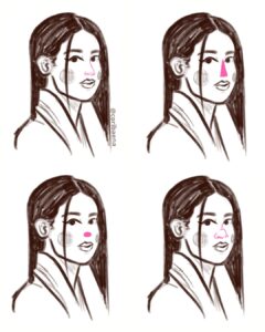 tipos de nariz dibujo